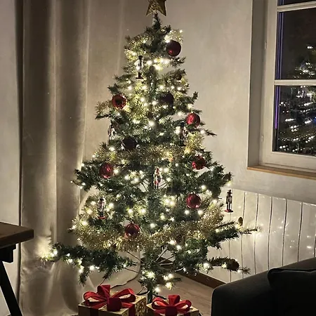 Appartement Le Schdorky Colmar